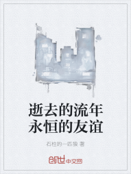 逝去的流年永恒的友谊