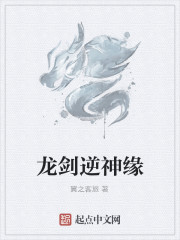 龙剑逆神缘